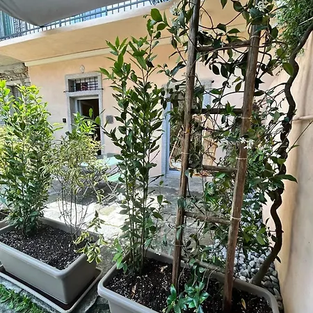 Spacious House In Tapigliano With Terrace For 12 People